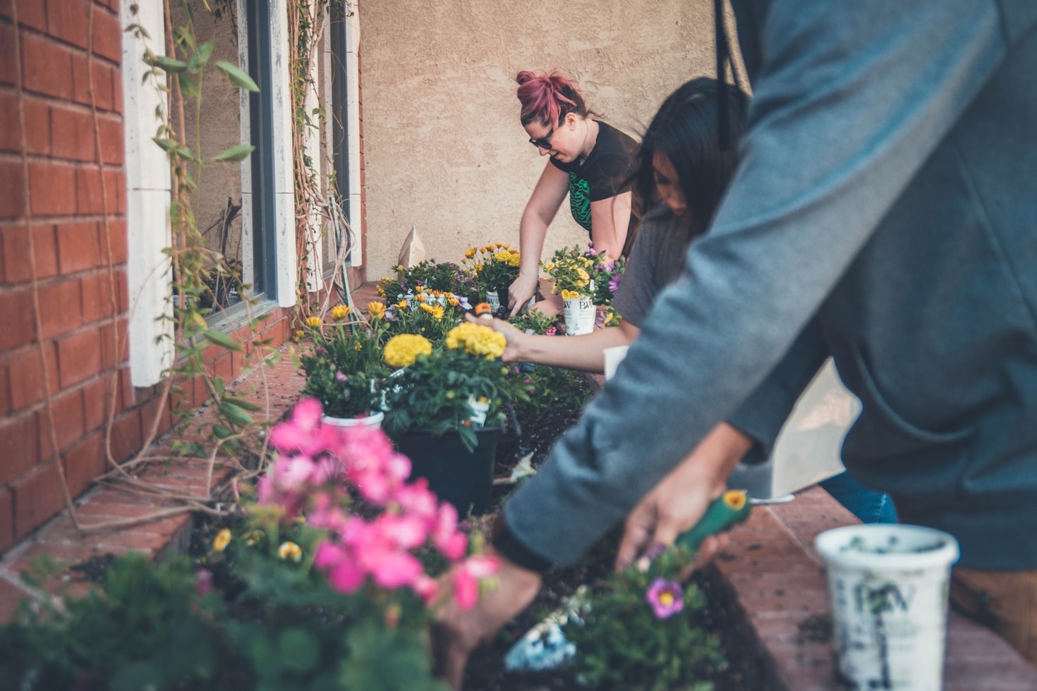 The Benefits of Growing Your Own Food Locally