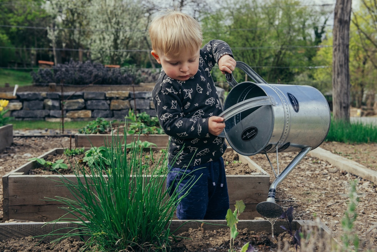 Edible Landscapes: Turning Lawns into Larders